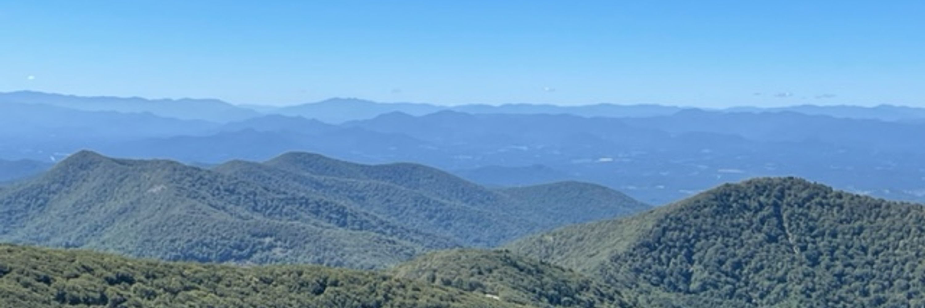 Virginia