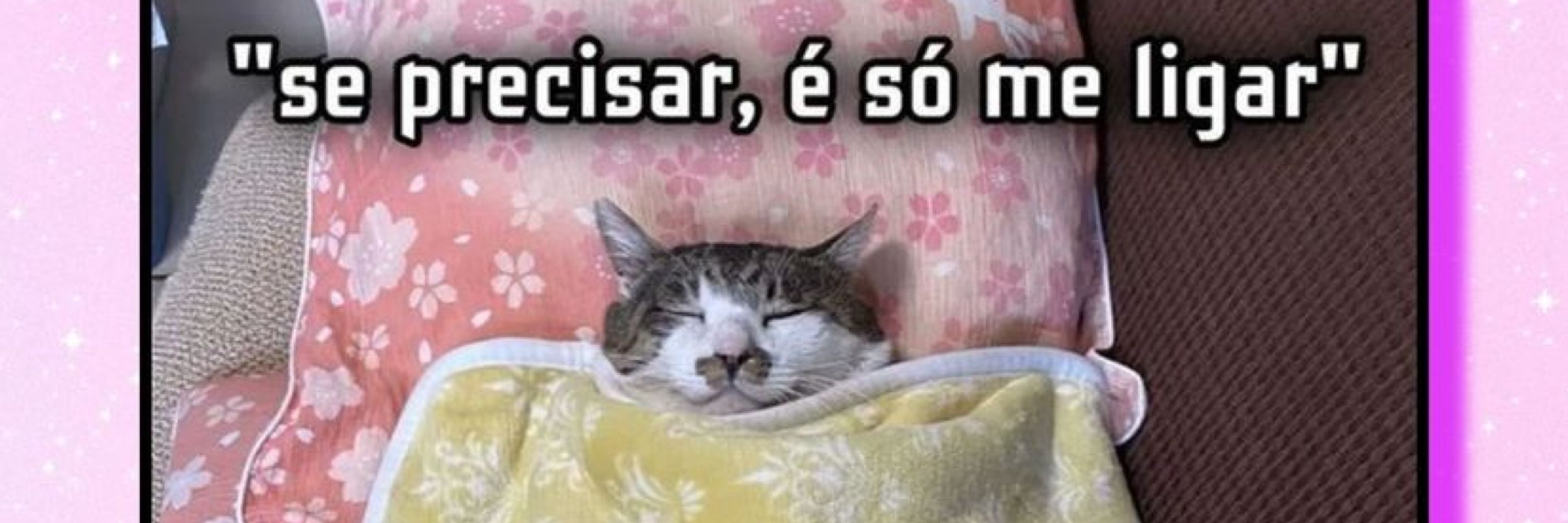cajuína 