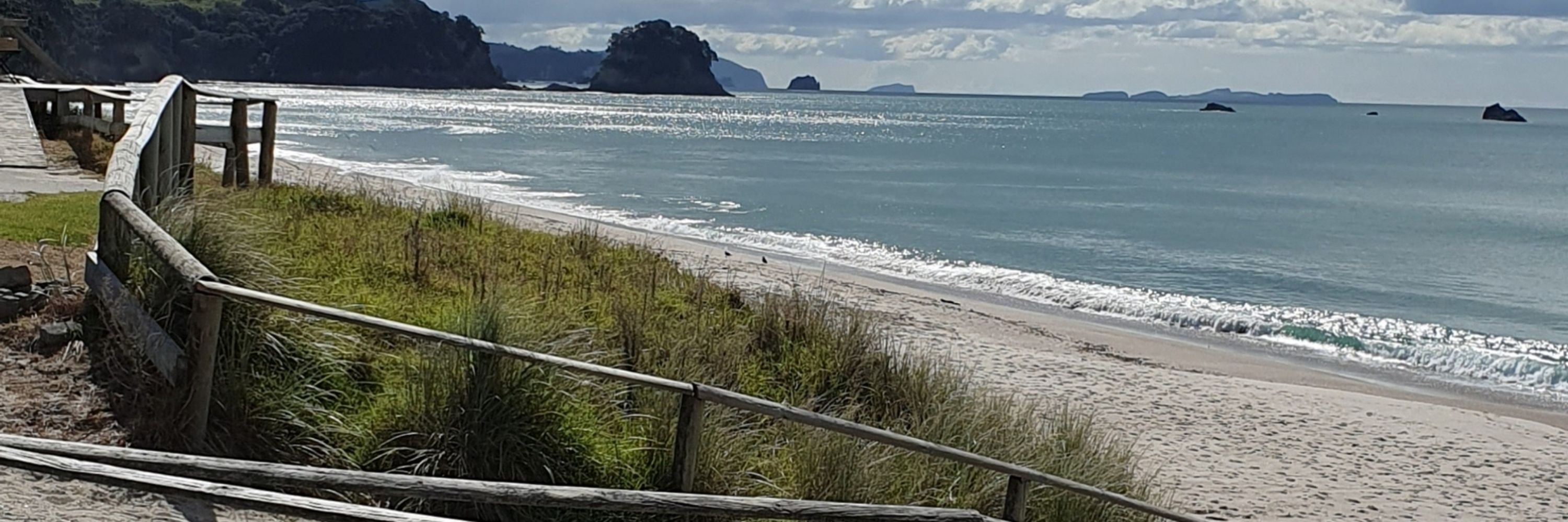 ClareK@AucklandIsland