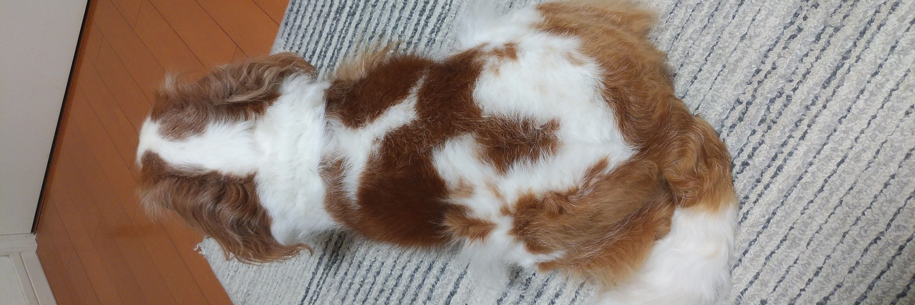 ハナ