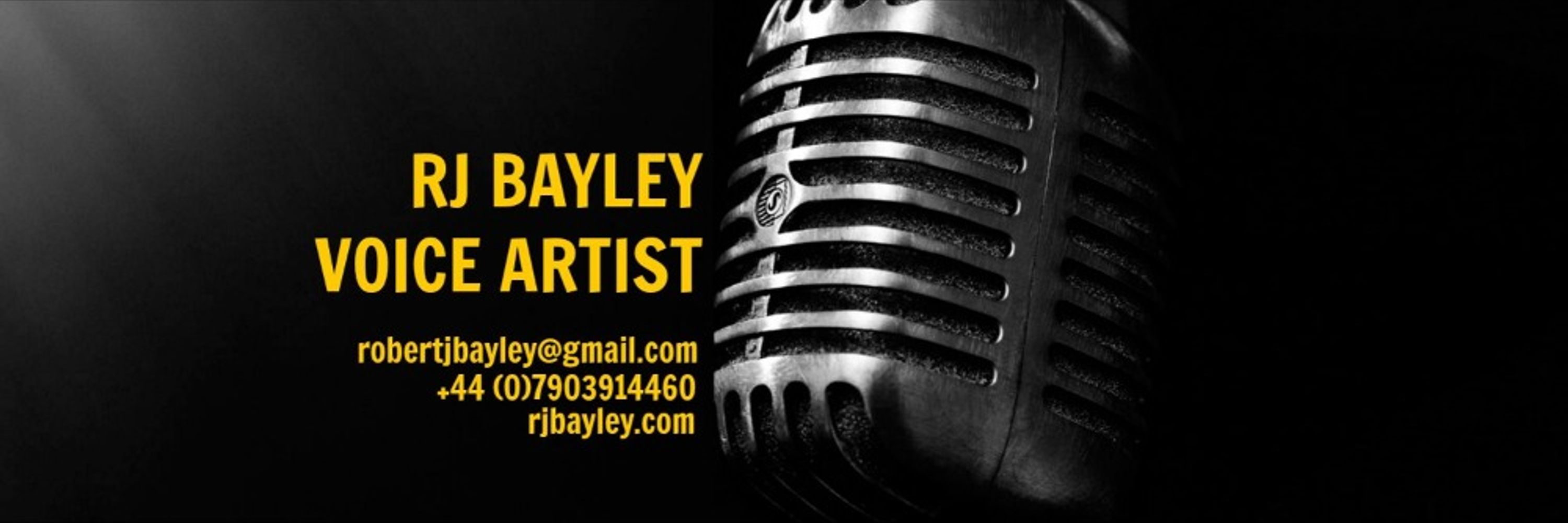 RJ Bayley, Voice Actor & Writer (he/him)