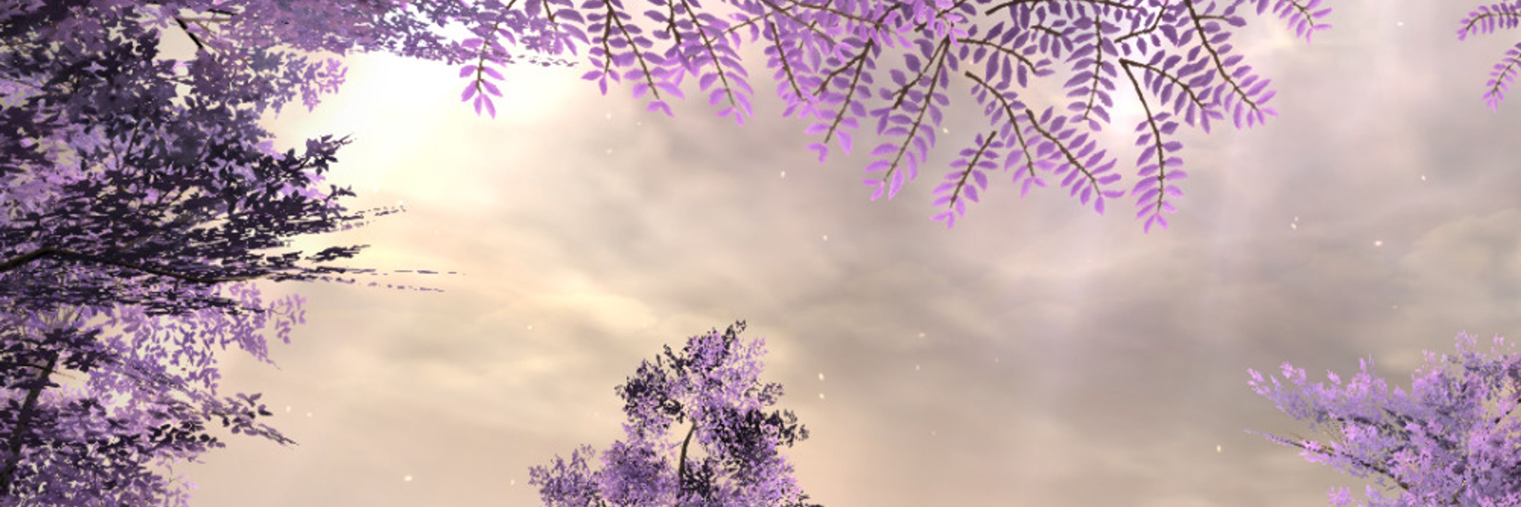 𝕐𝕦𝕞𝕚𝕜𝕠 𝕄𝕦𝕣𝕒𝕤𝕒𝕜𝕚