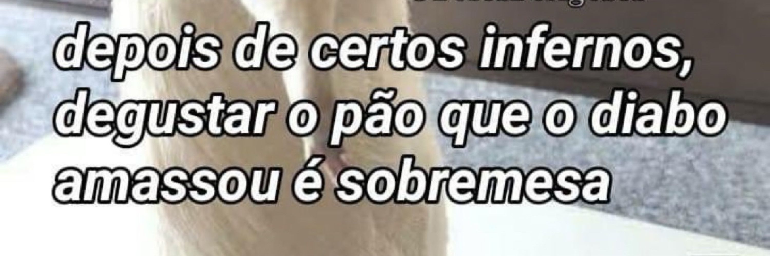 JOÃO PEDRO 🌪️