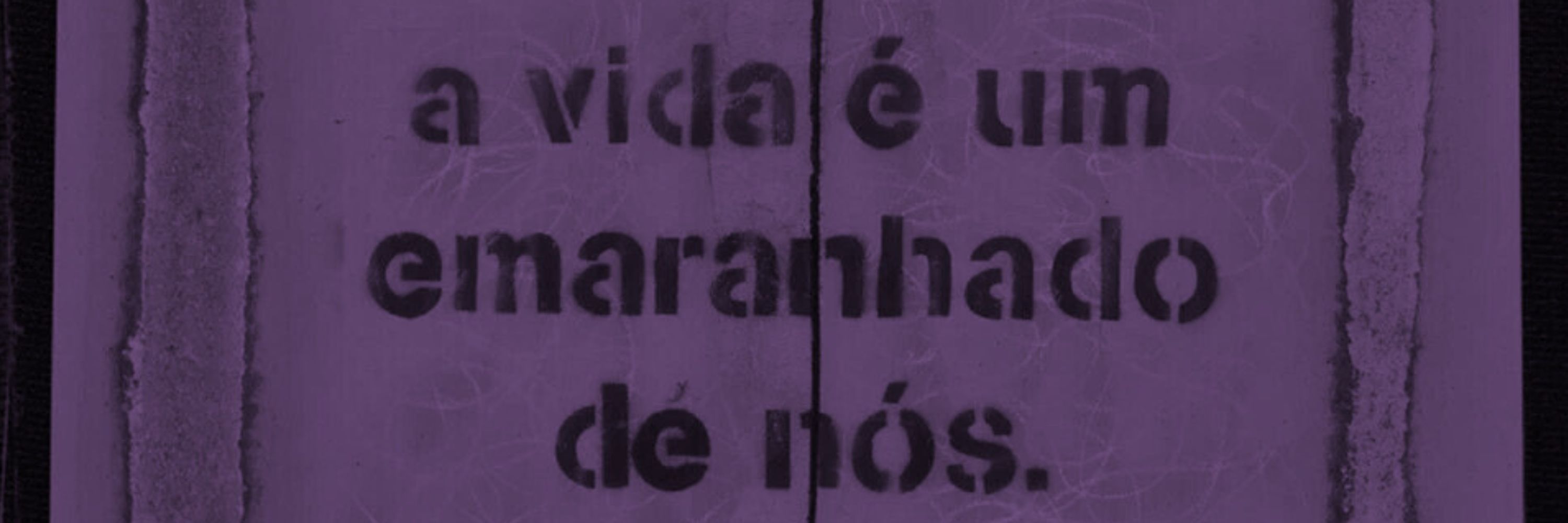 Beatriz Amorim