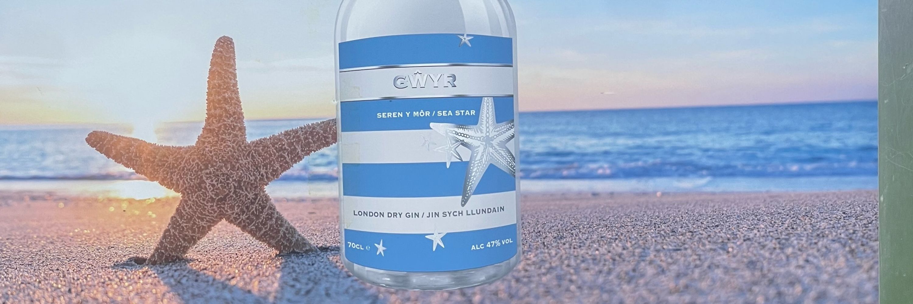 The Gower Gin Company