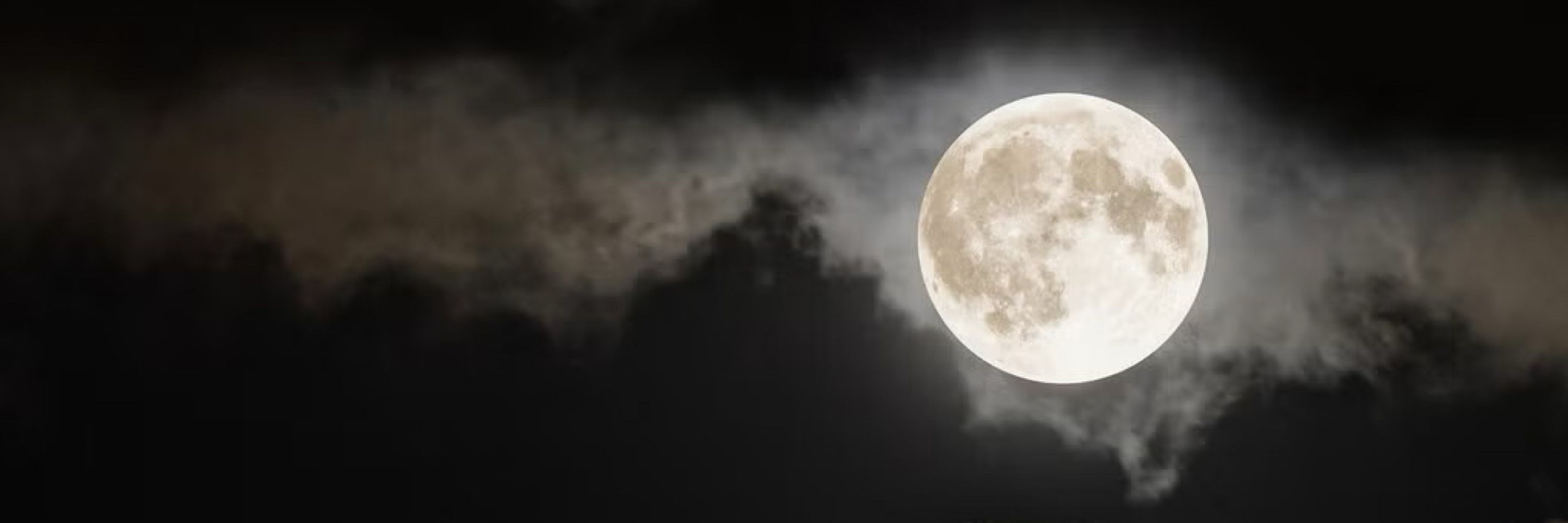 The Moonlight Dragon
