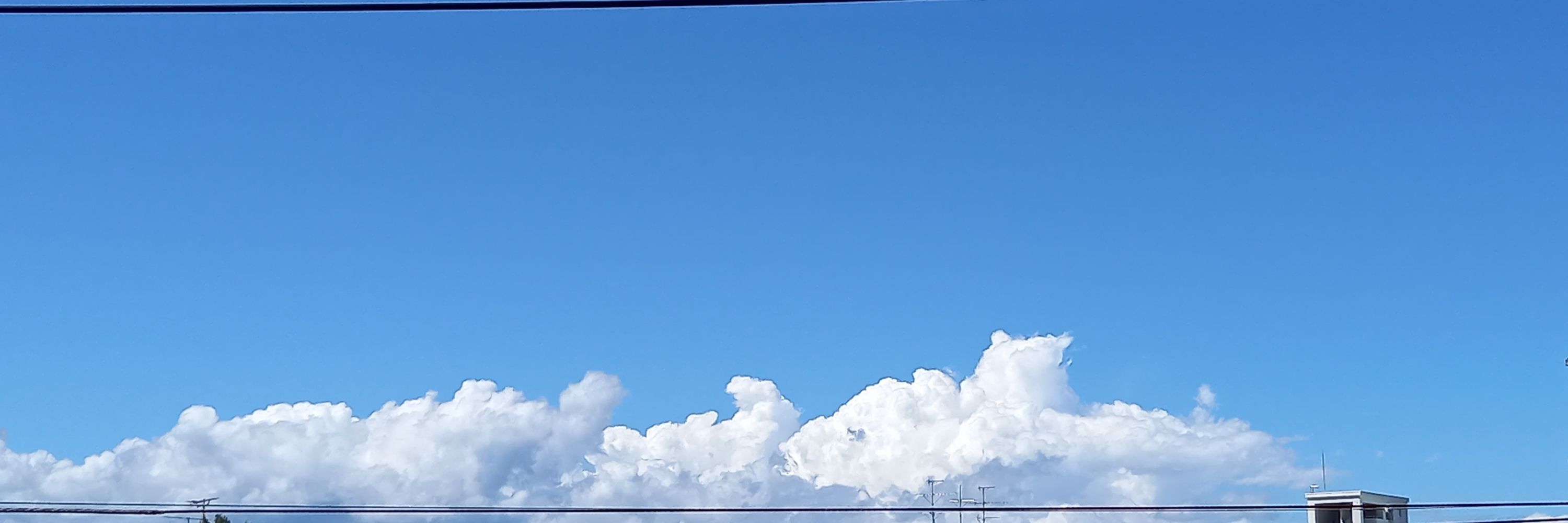 かば