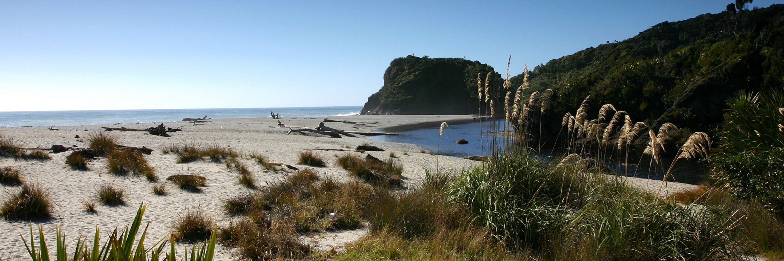 Mark Campbell 🦋🇳🇿