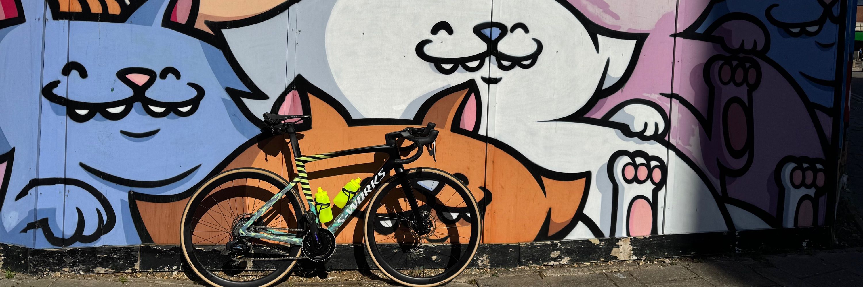 Stefan Velo