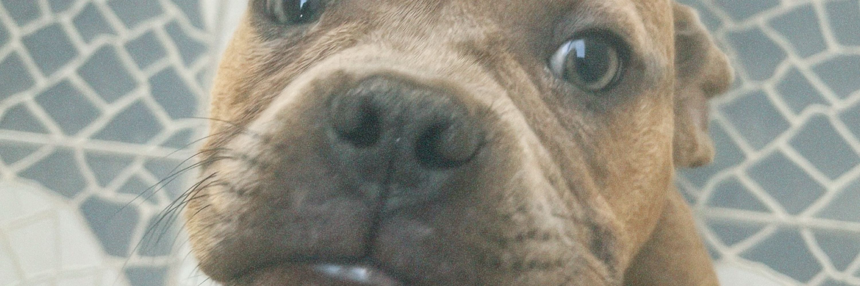 mi ;)