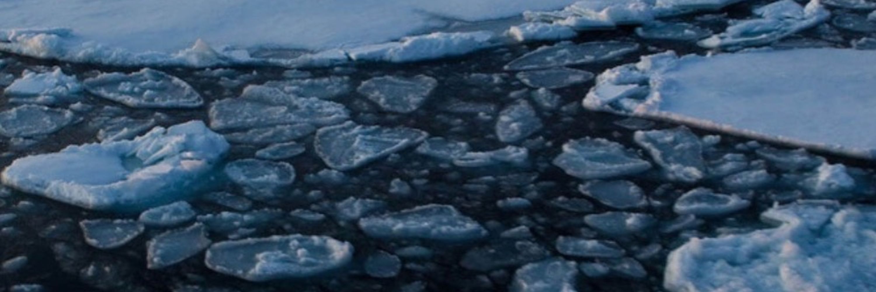 Clean Arctic Alliance