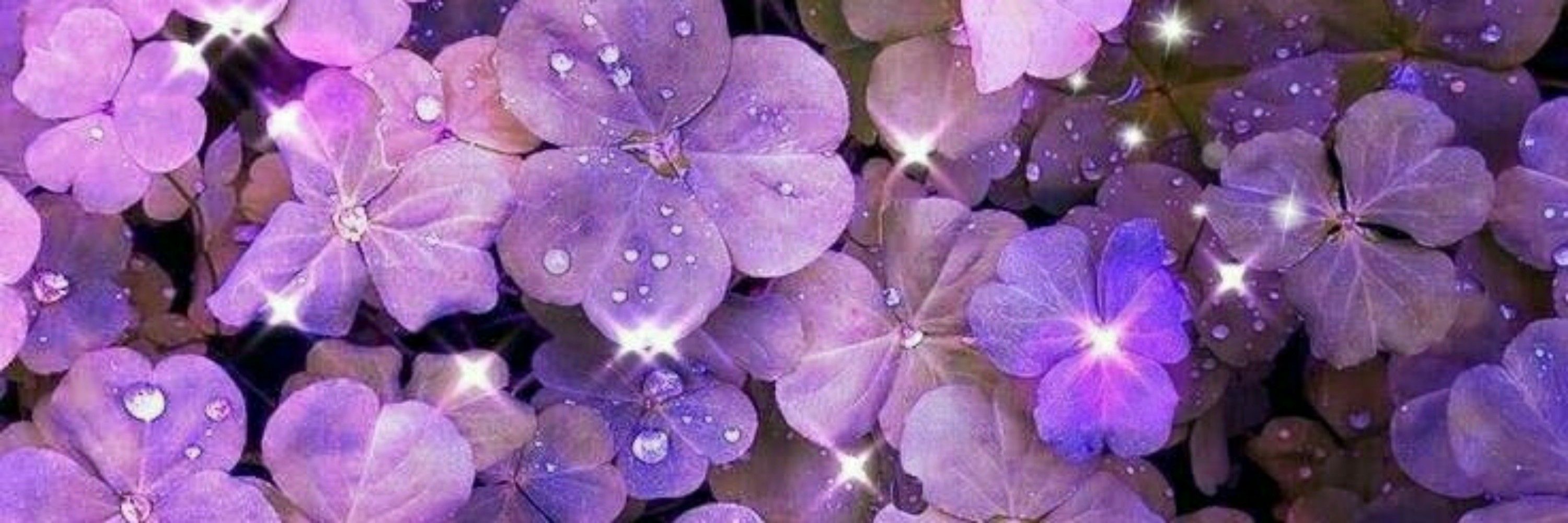 Nara🌻☕💜