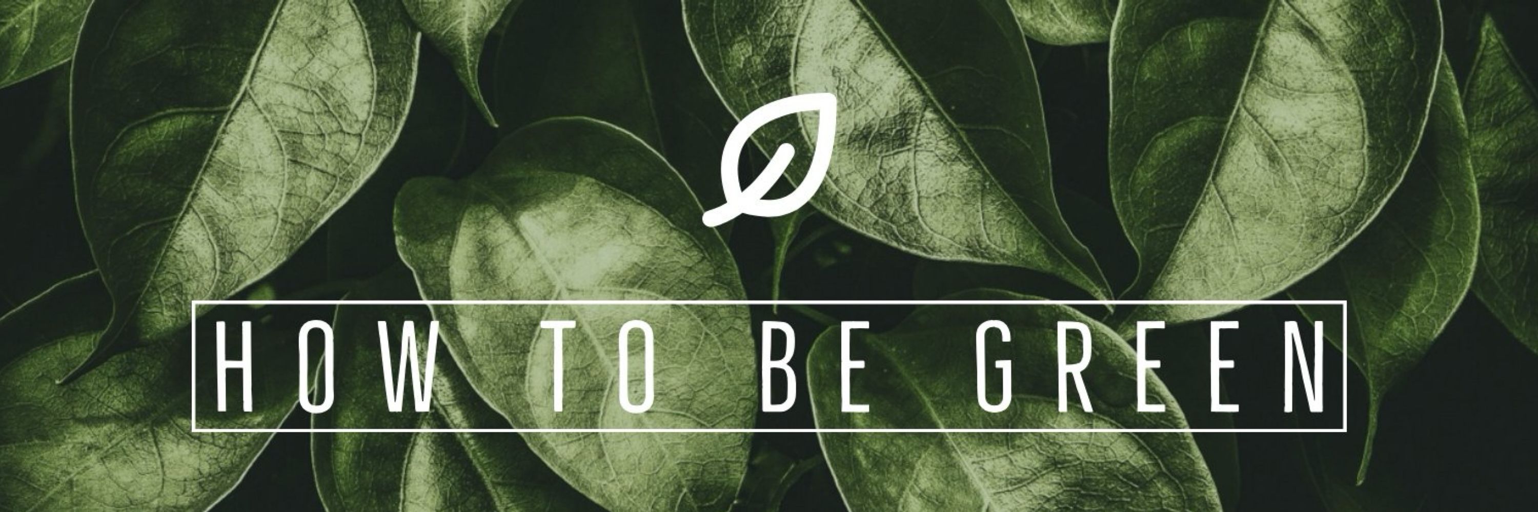 How To Be Green