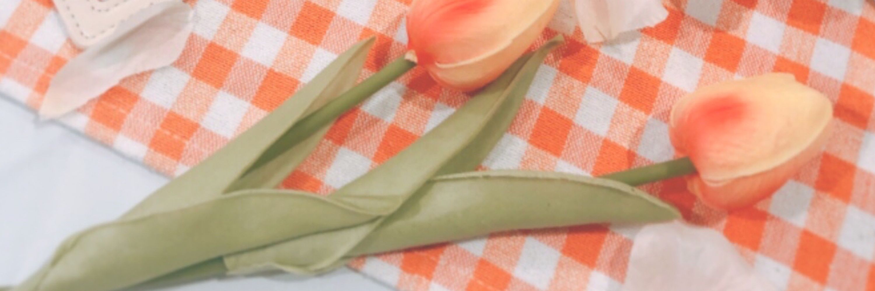 藤森
