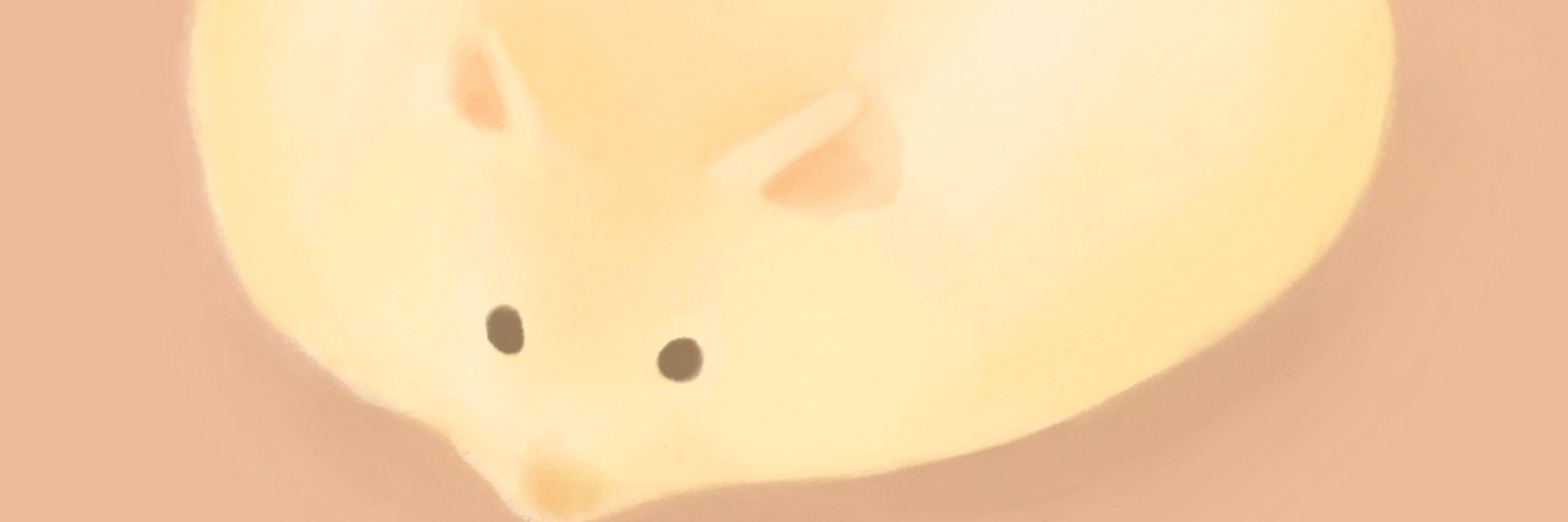 あさみ