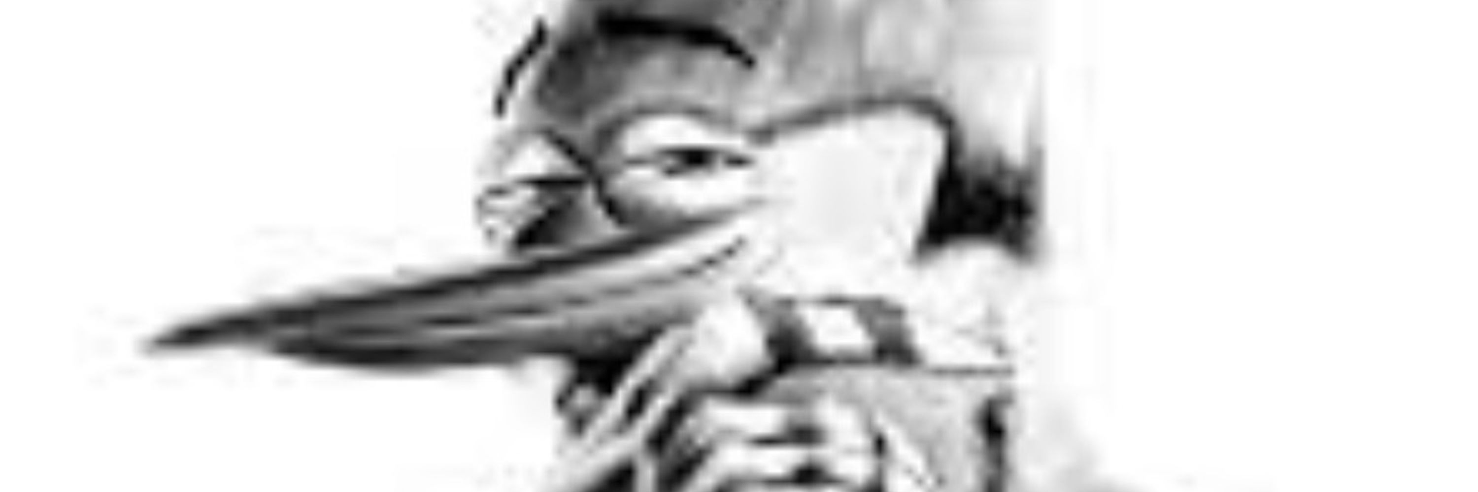 Rooki