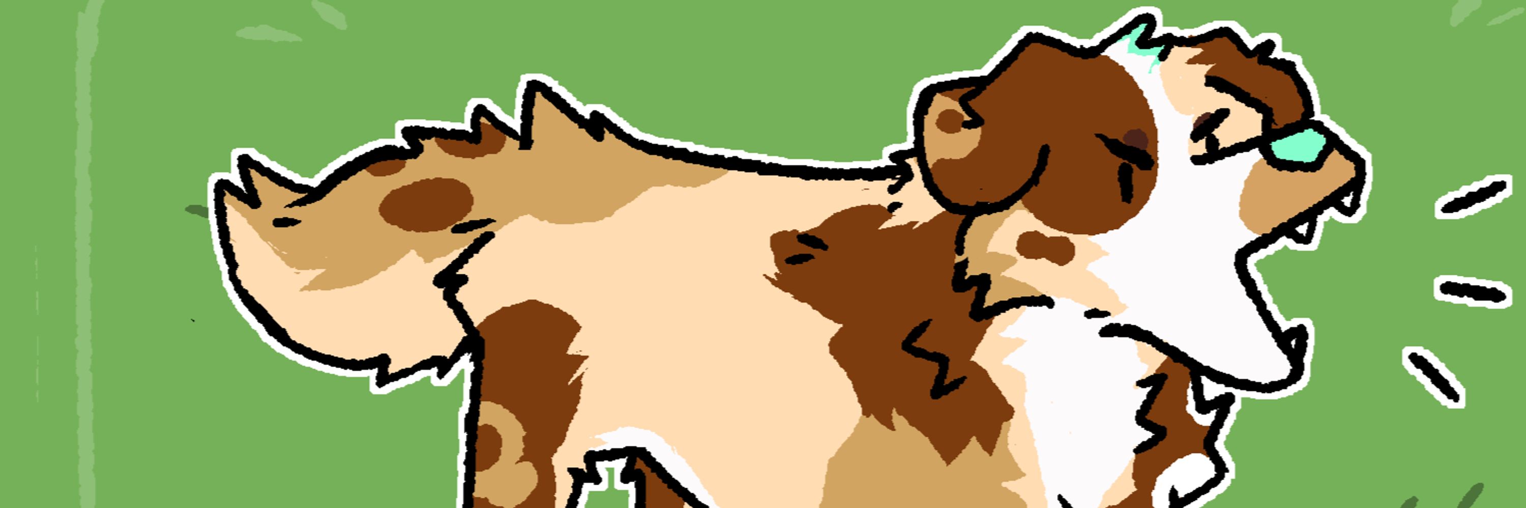 cliff <> fwa