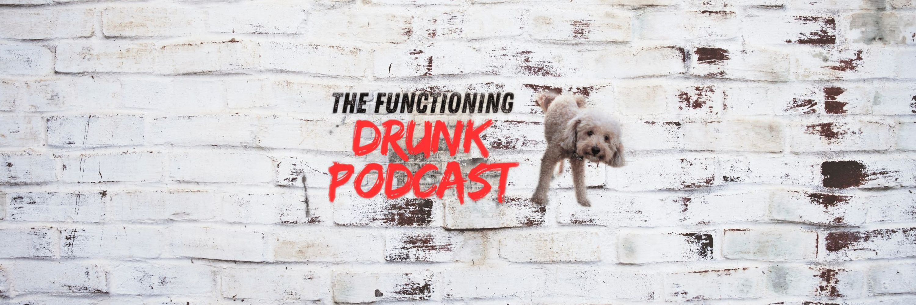 The Functioning Drunk