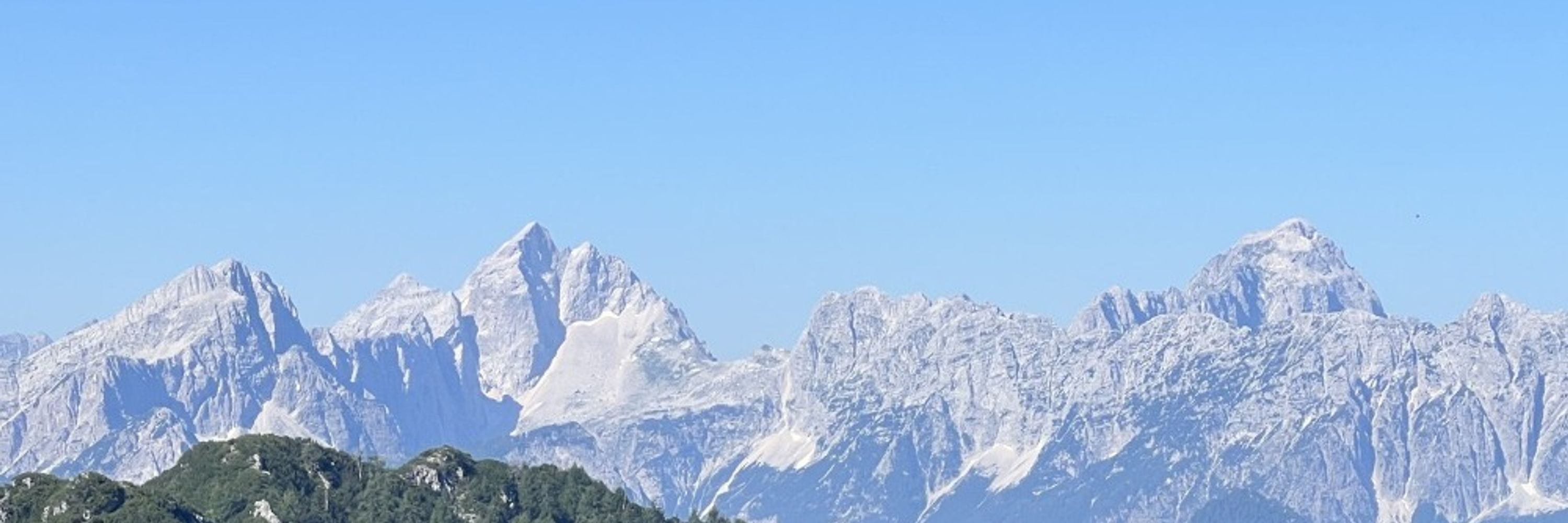 Wolfgang Stauder