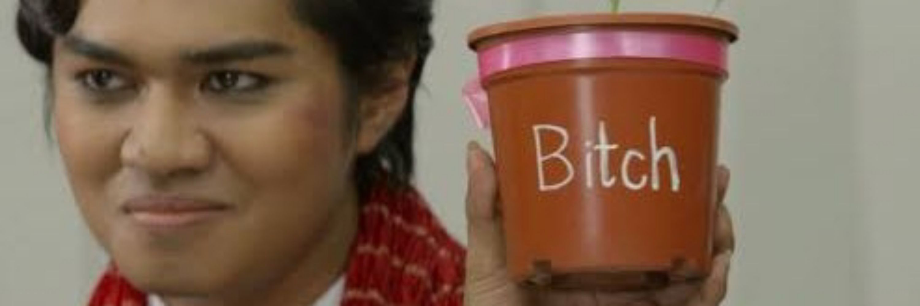 แอ็คเห็บหมาชิวาว่าตาโปน