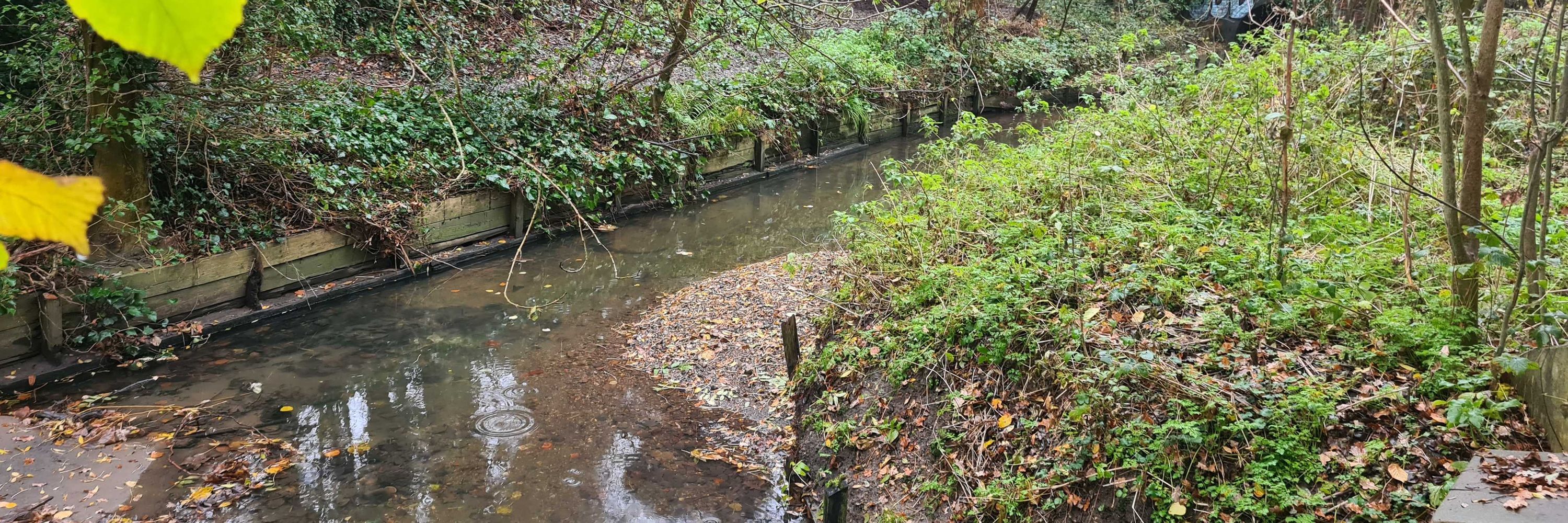 Local Action for MuttonBrook