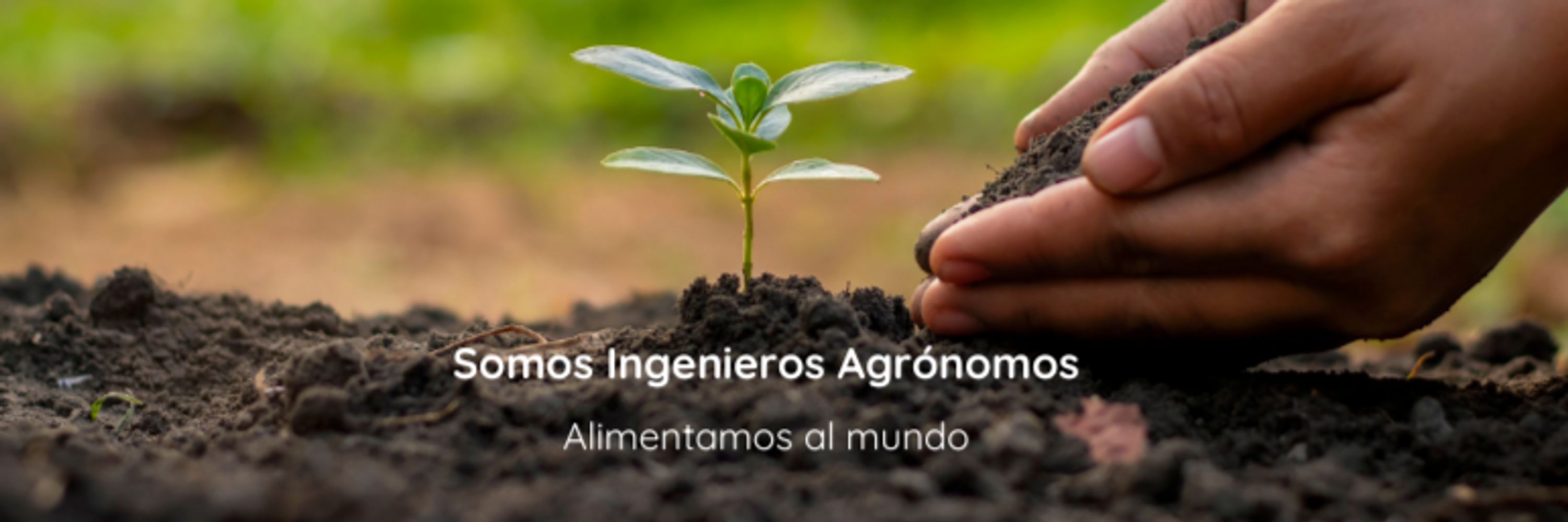Colegio Oficial de Ingenieros Agrónomos de Andalucía