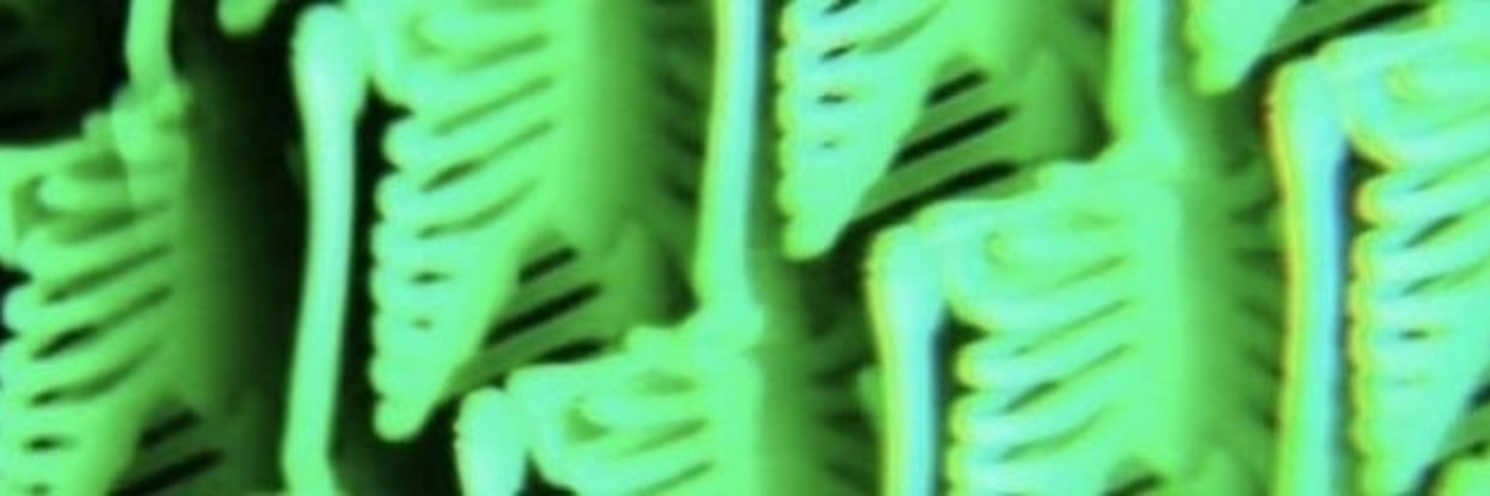 ᶻ 𝗓 𐰁𝕭𝖊𝖑𝖕𝖍𝖊𝖌𝖔𝖗₊ ⊹