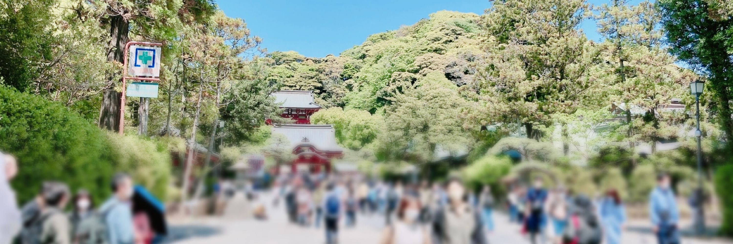 双頭の侘助