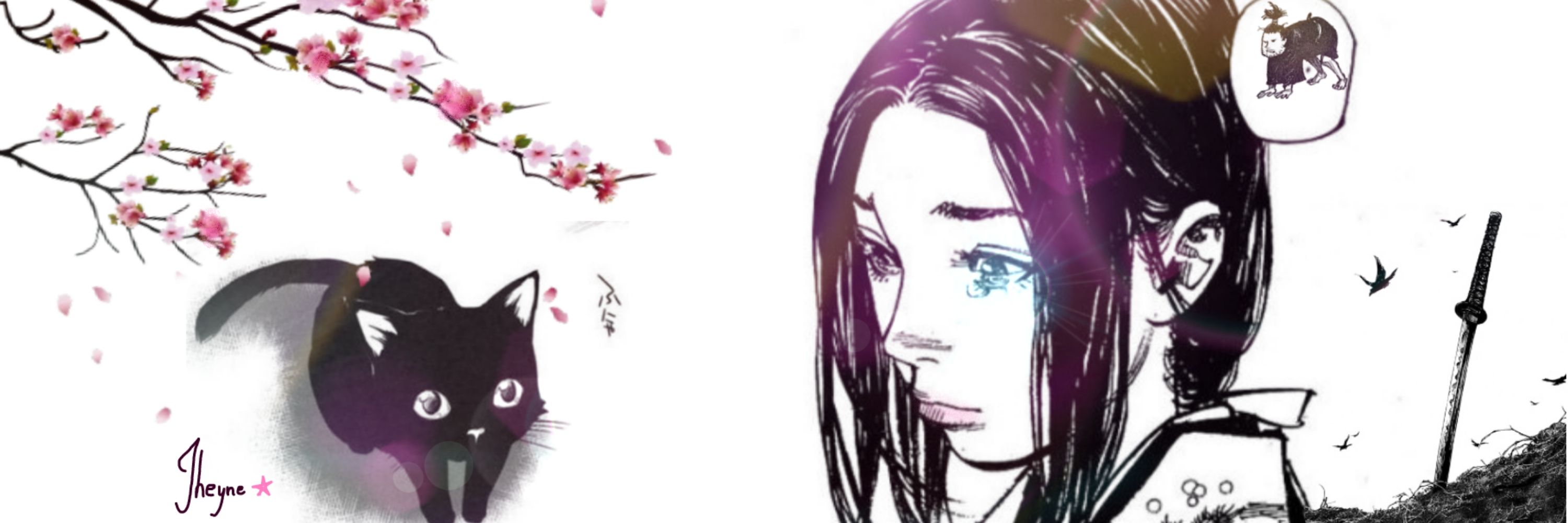 Sn✧