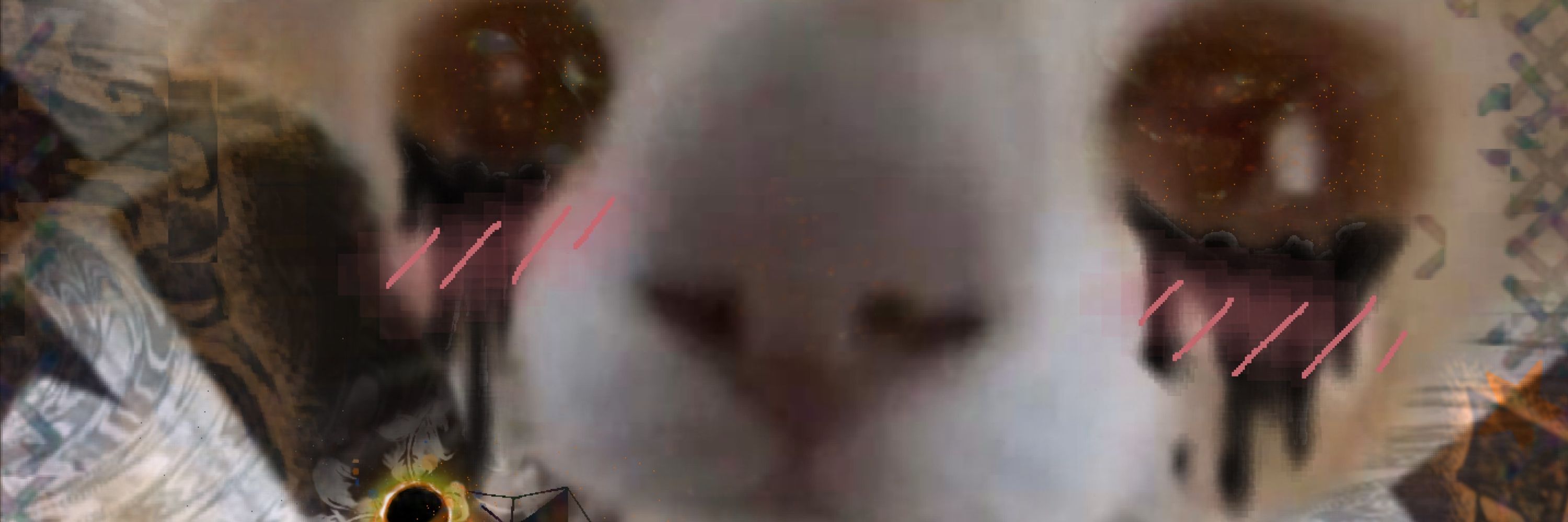 LUCΔ🦁