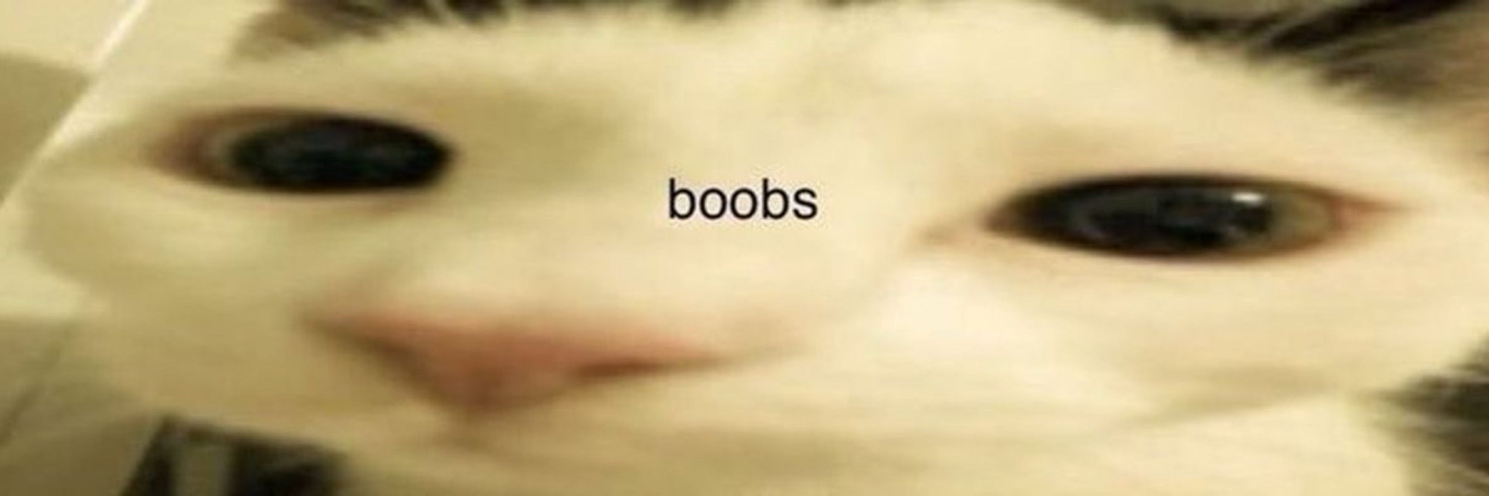 yan
