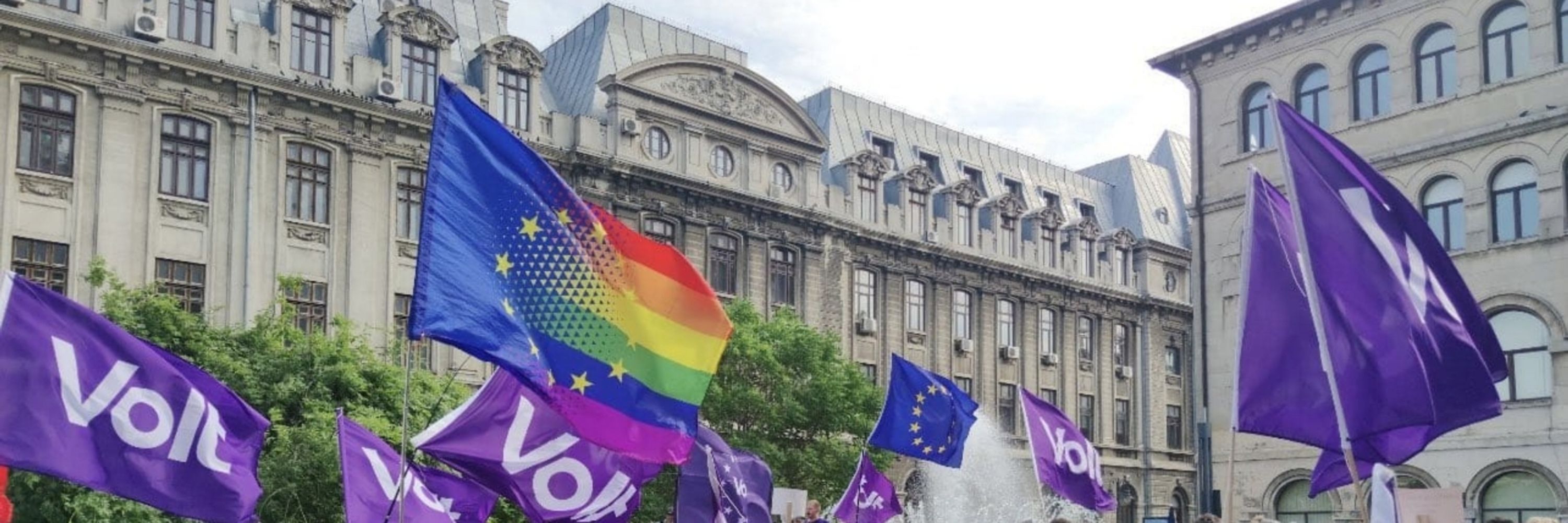 QueerVolt Nederland
