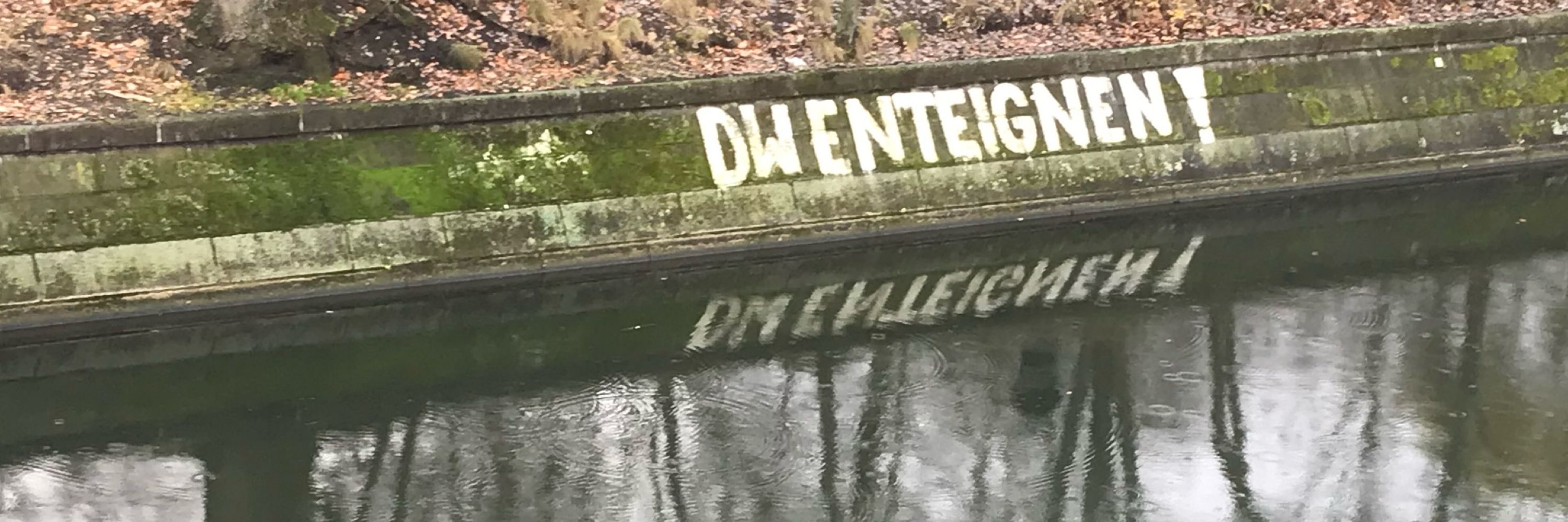 findefuchs