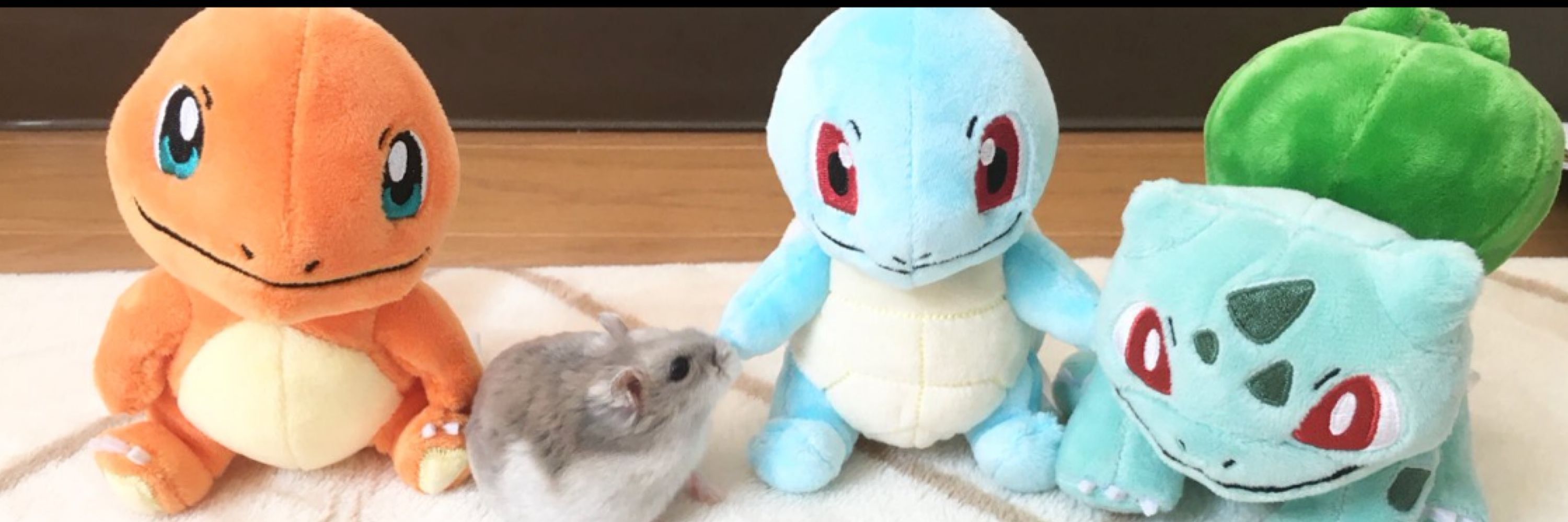 たぴこ