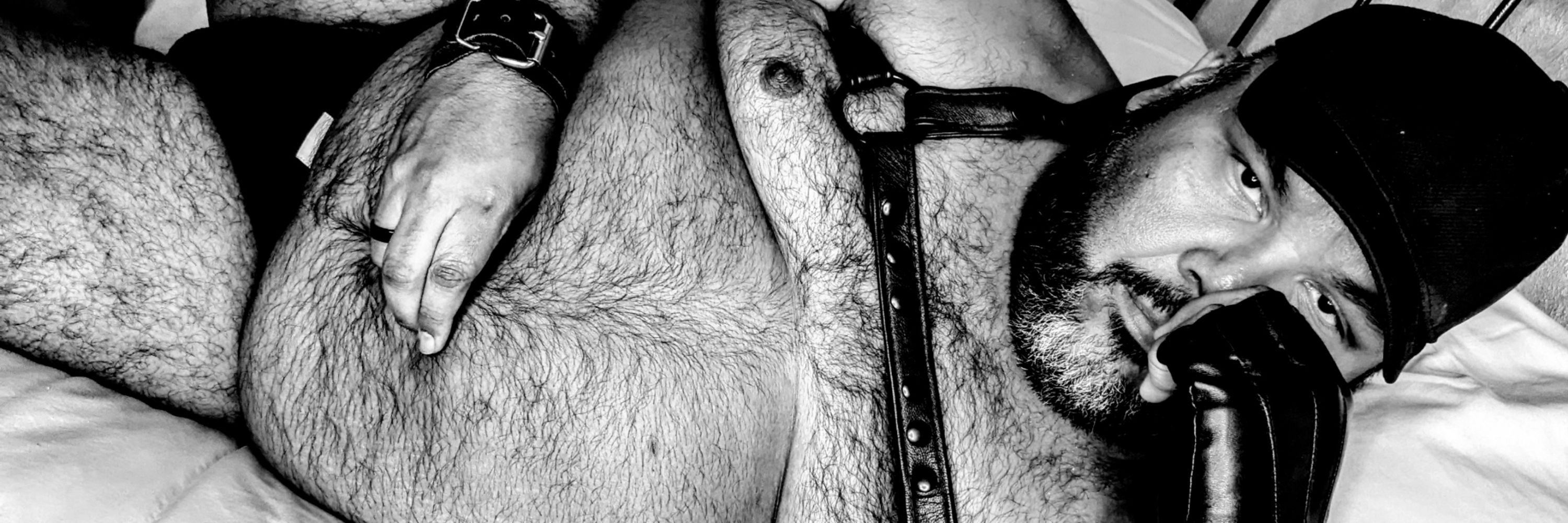 Dom Daddy Bear Sir
