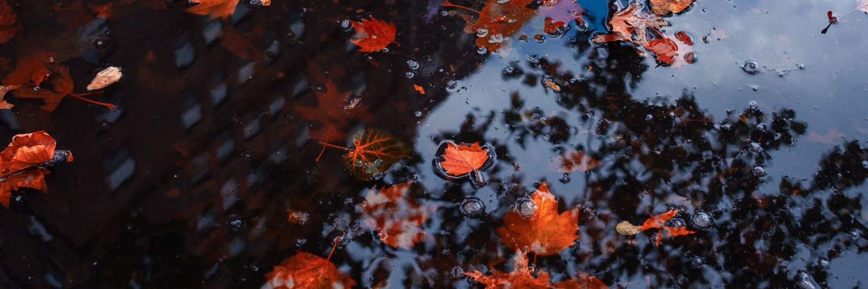 M.Herz