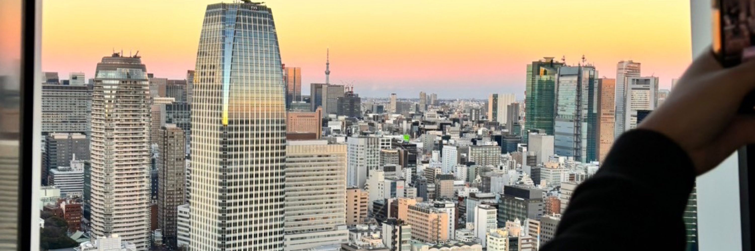 みどるん