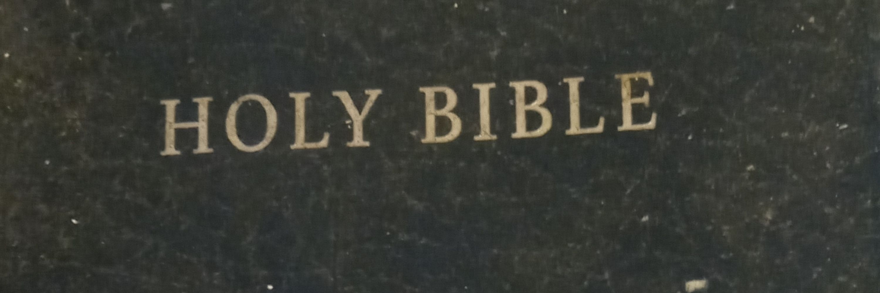 Biblical Information Profile 1 🙏👀