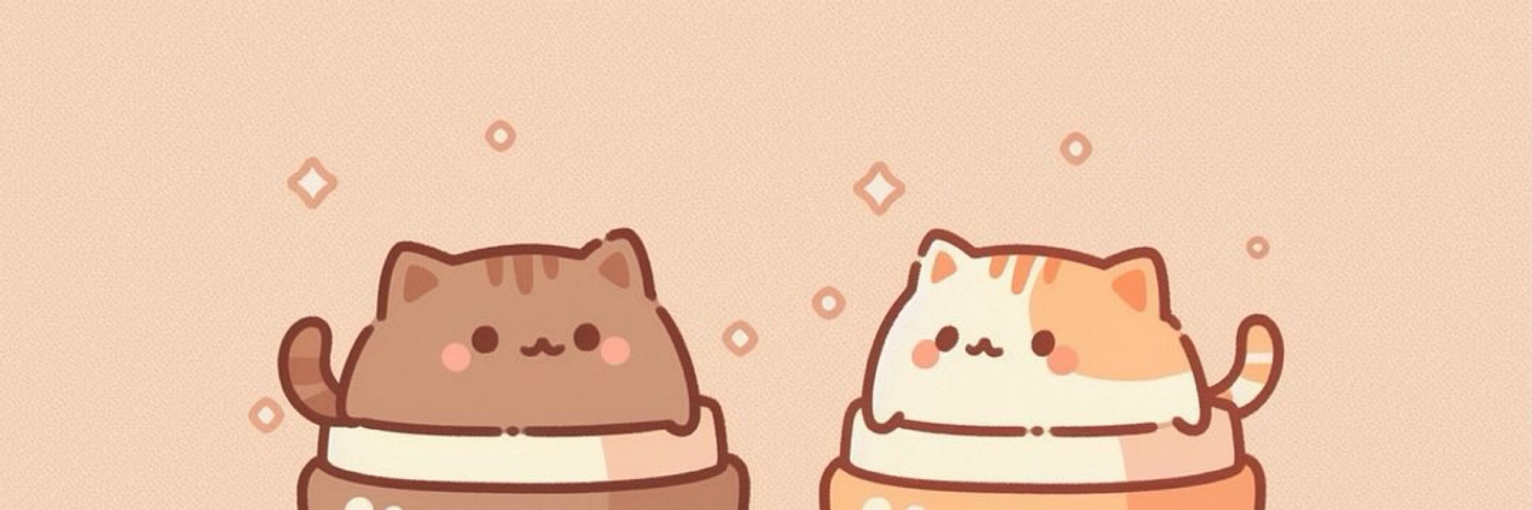 แมวกล่อง