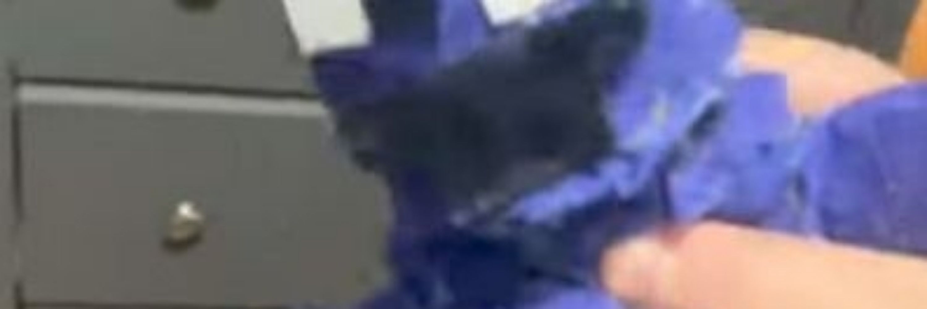 Stupid god damn dog