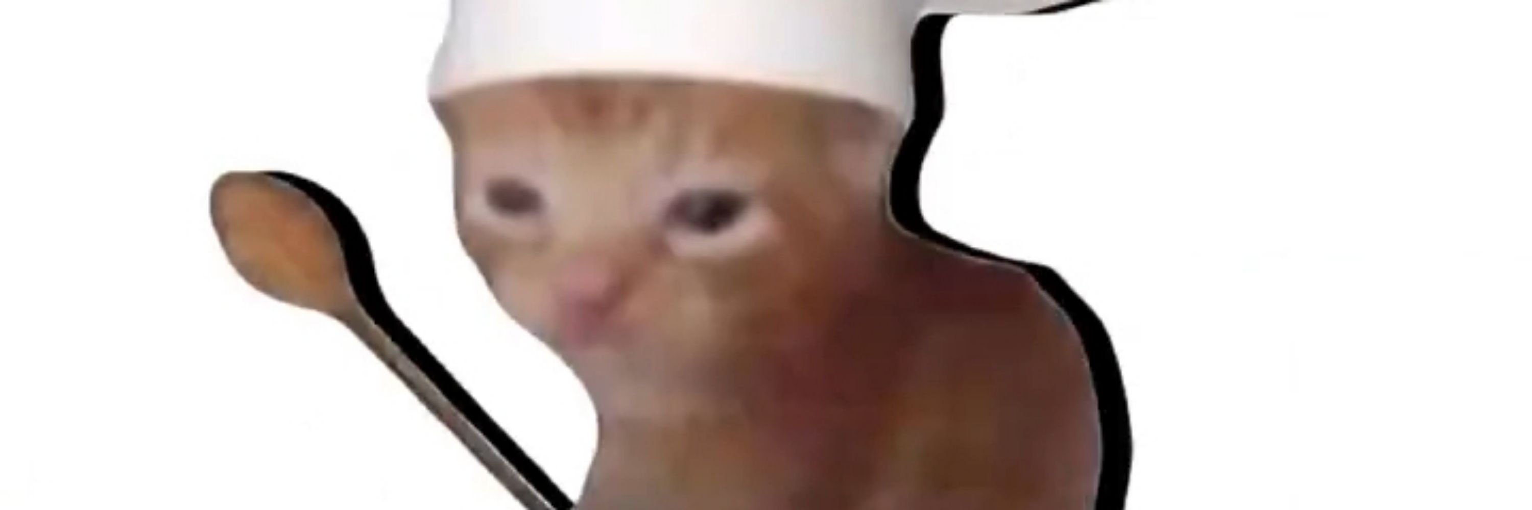𝙺𝚘𝚌𝚑𝚎𝚗𝚐ᰔᩚ