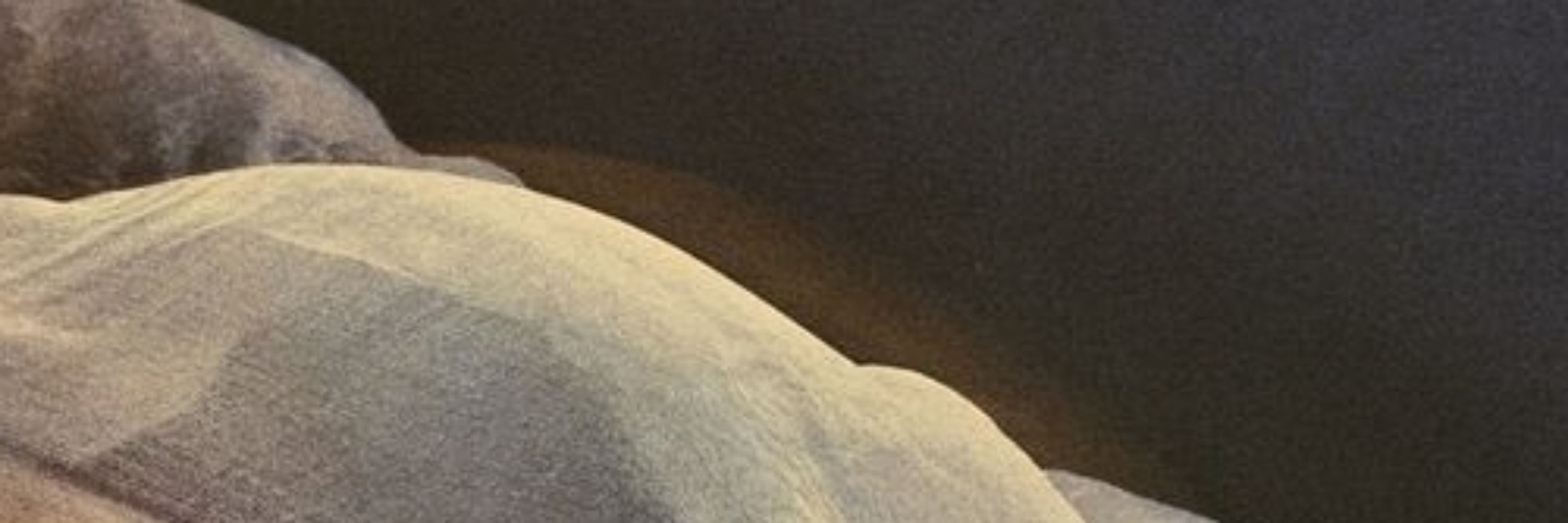 Pluto⸆⸉