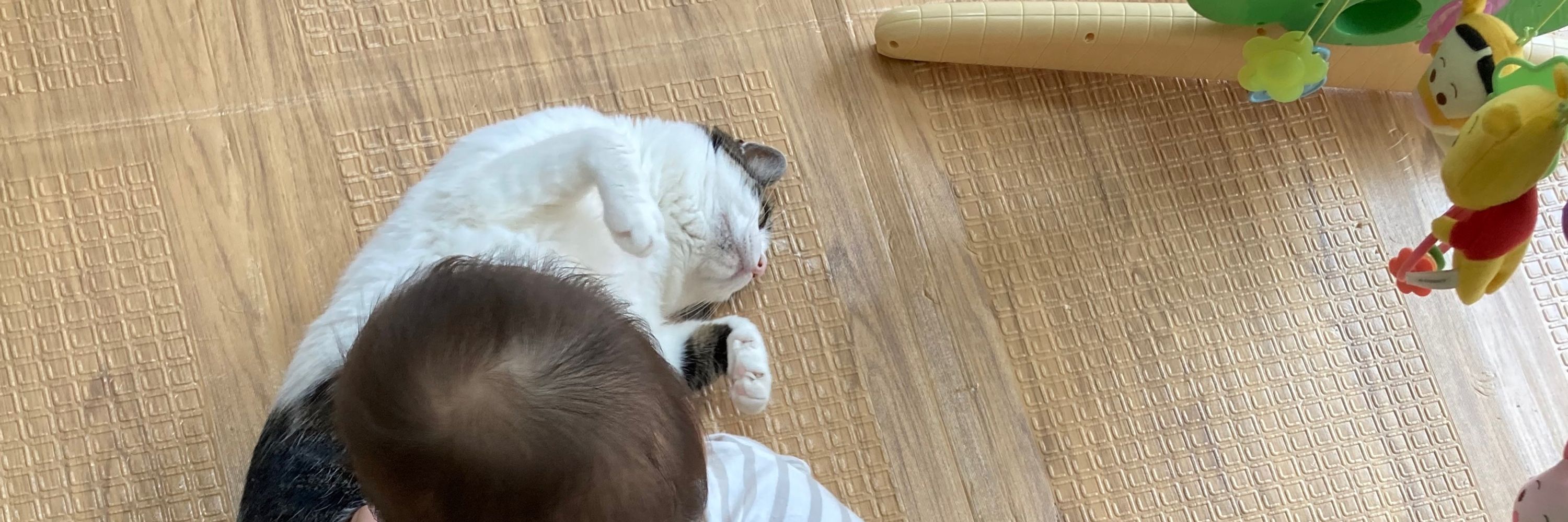 ぺっそ