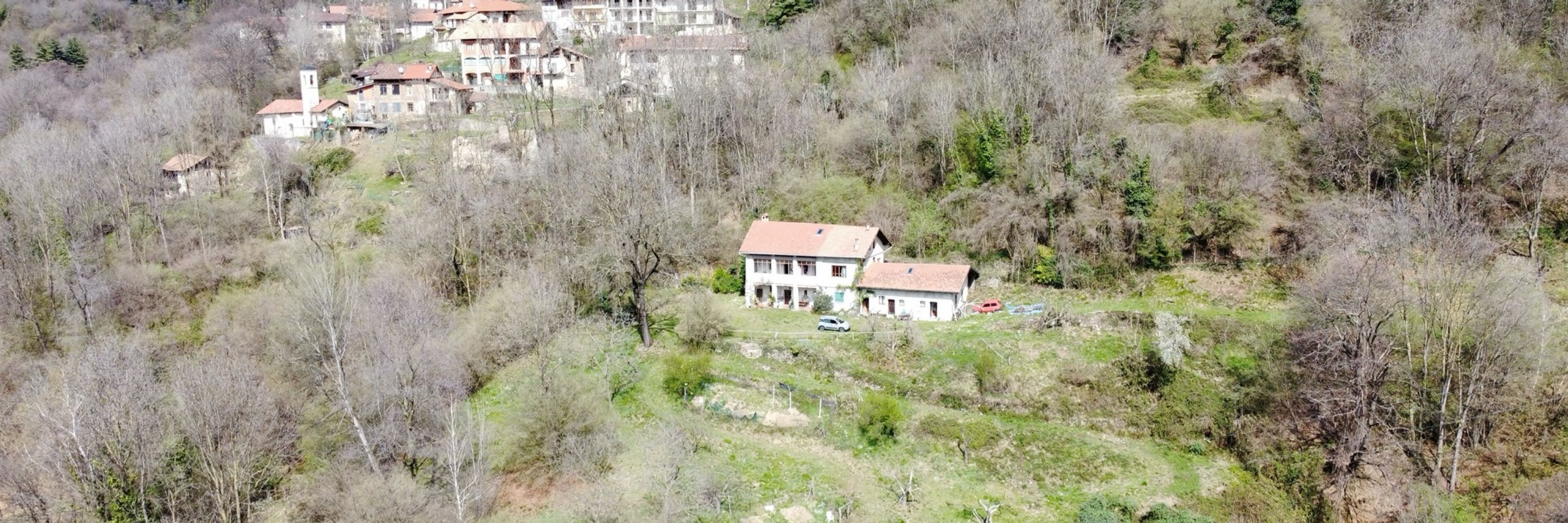 Lalegoi
