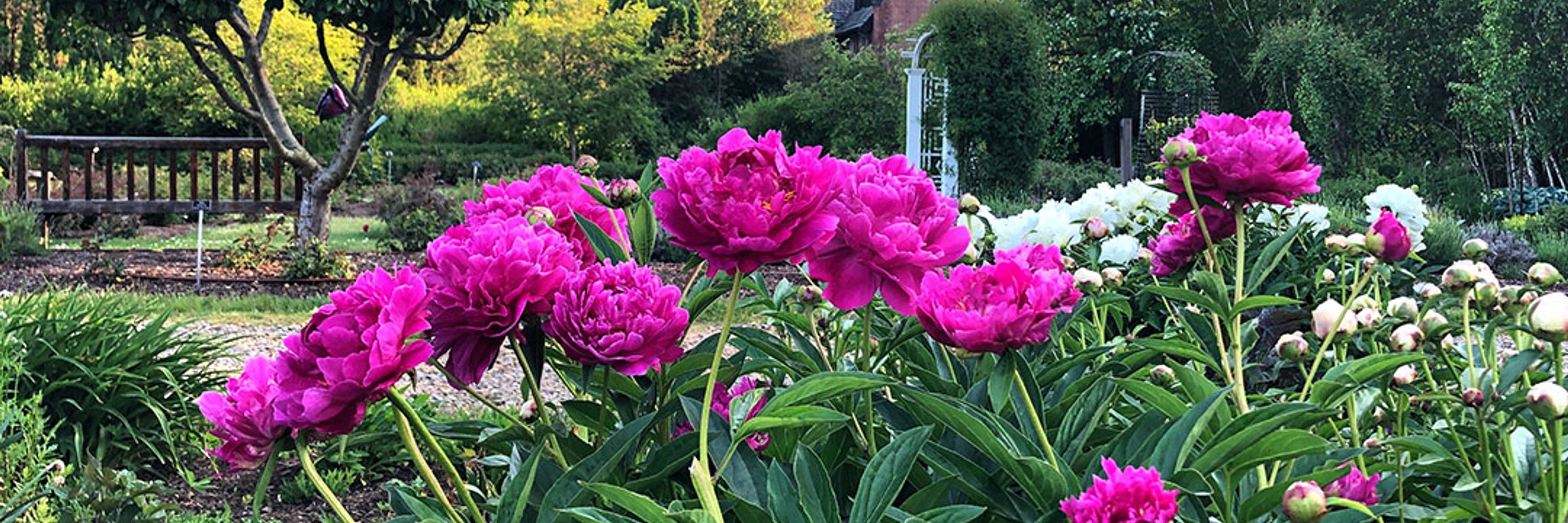 Stan Hywet Hall & Gardens