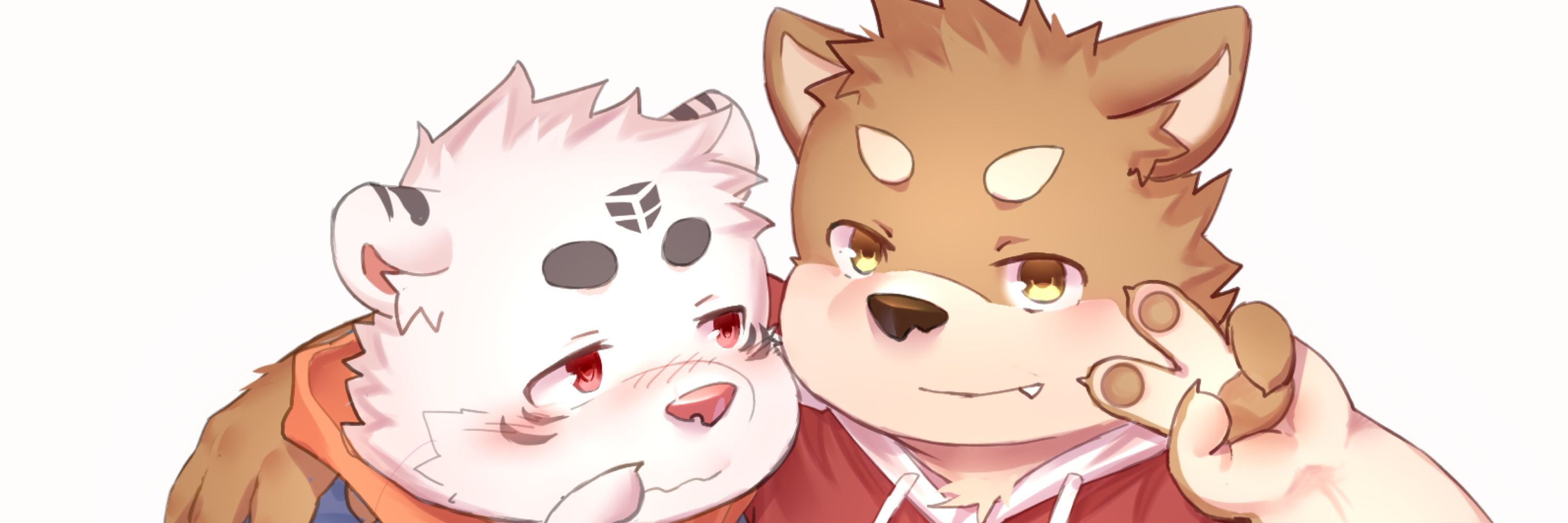 柴犬团团