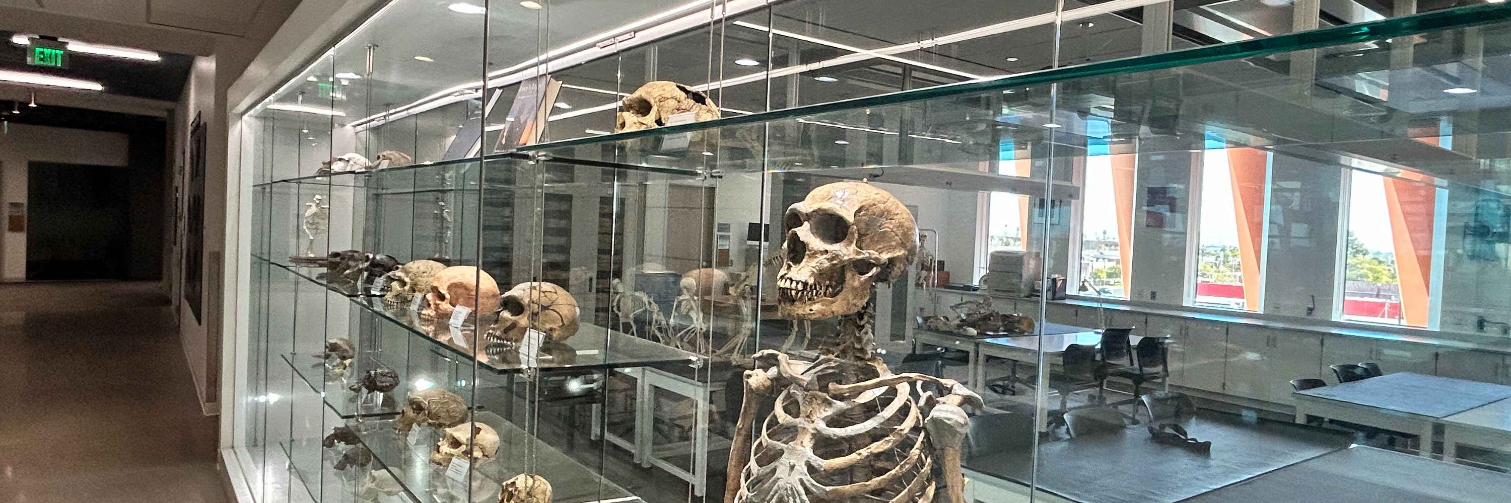 ASU Institute of Human Origins