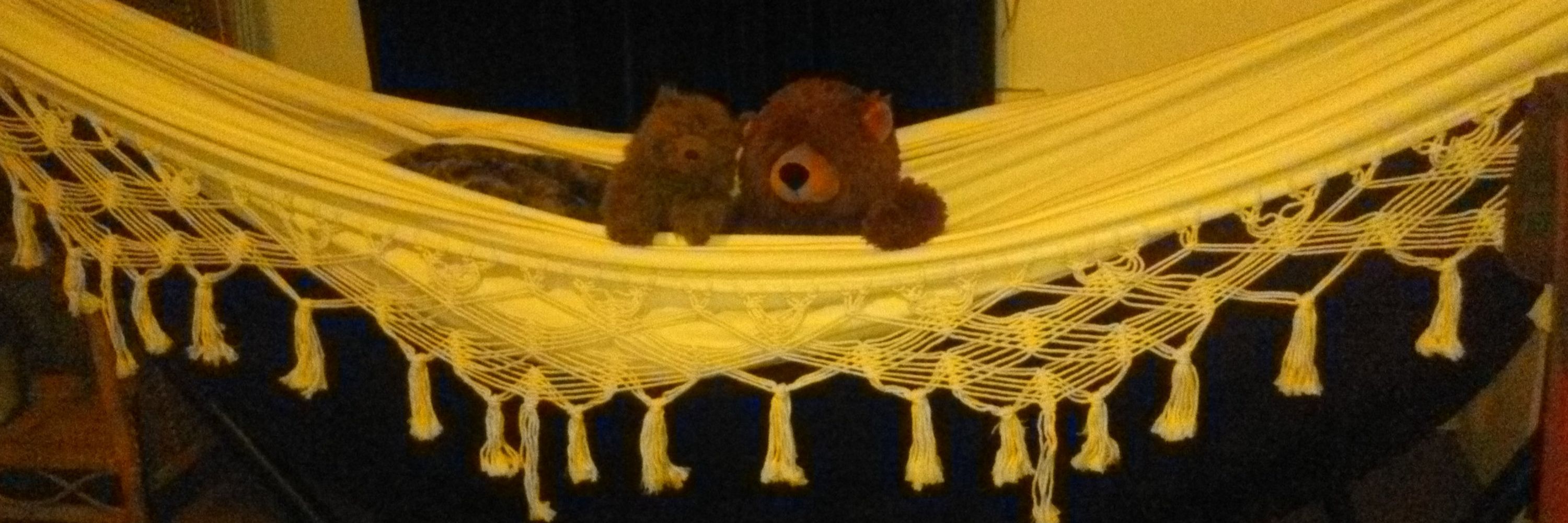 Agnes Bear