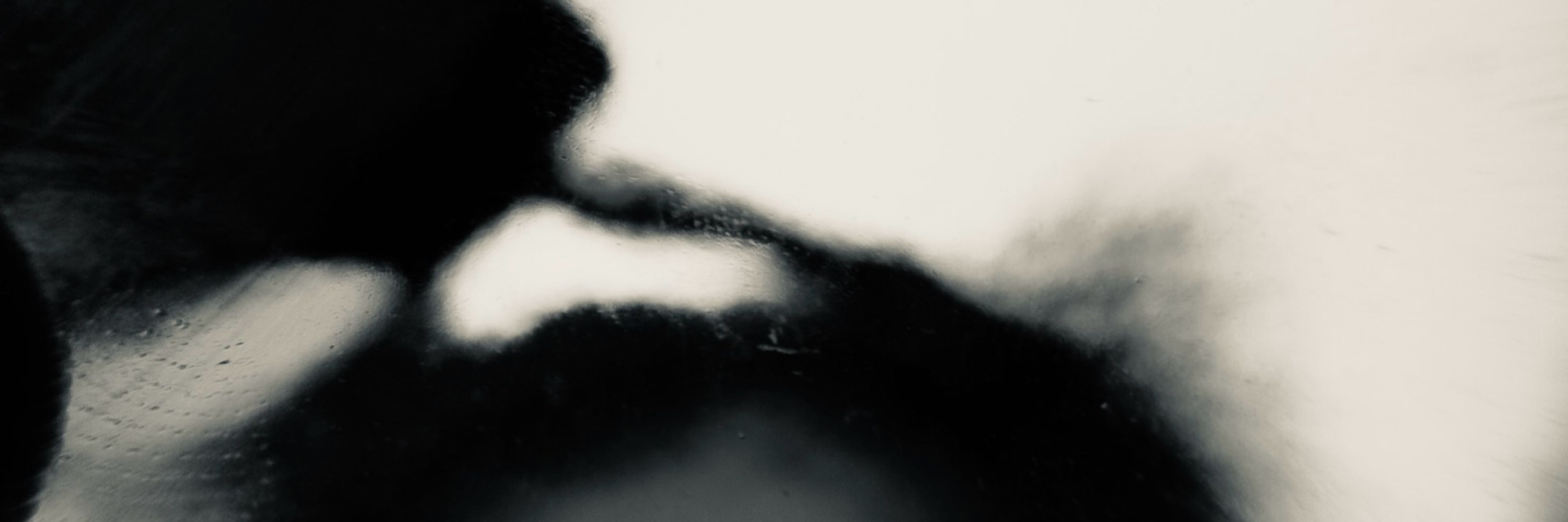 Dan