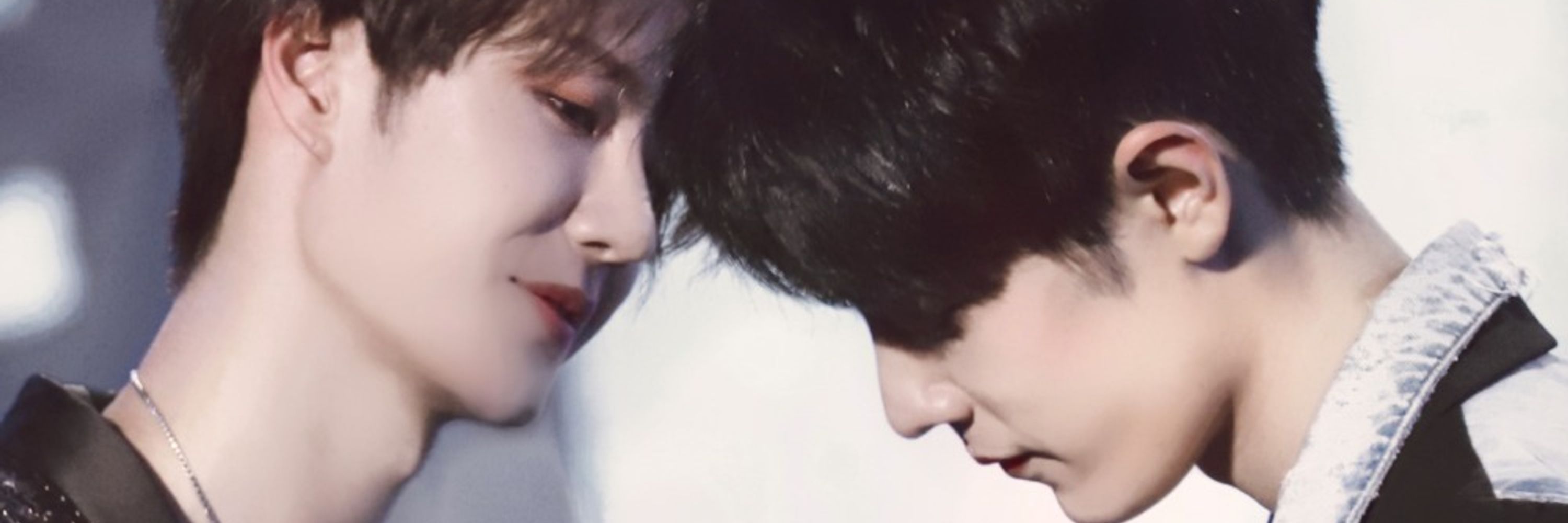 작은사자토끼
